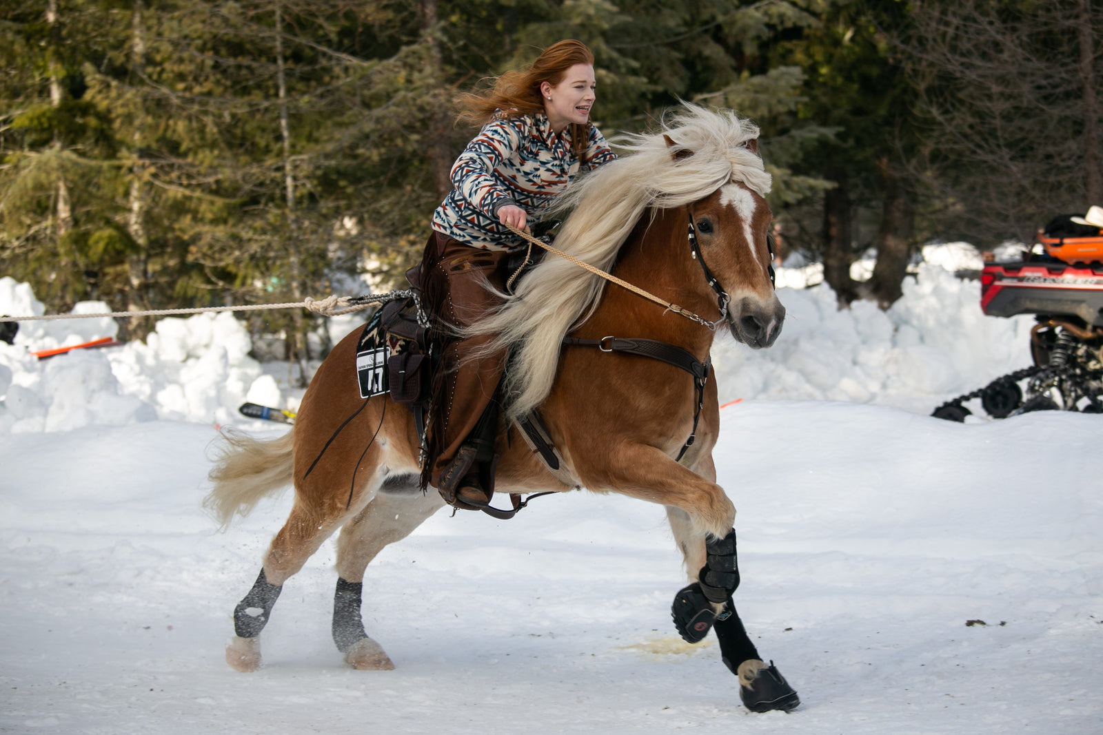 Gallop and Glide: Skijoring 101 with Outback