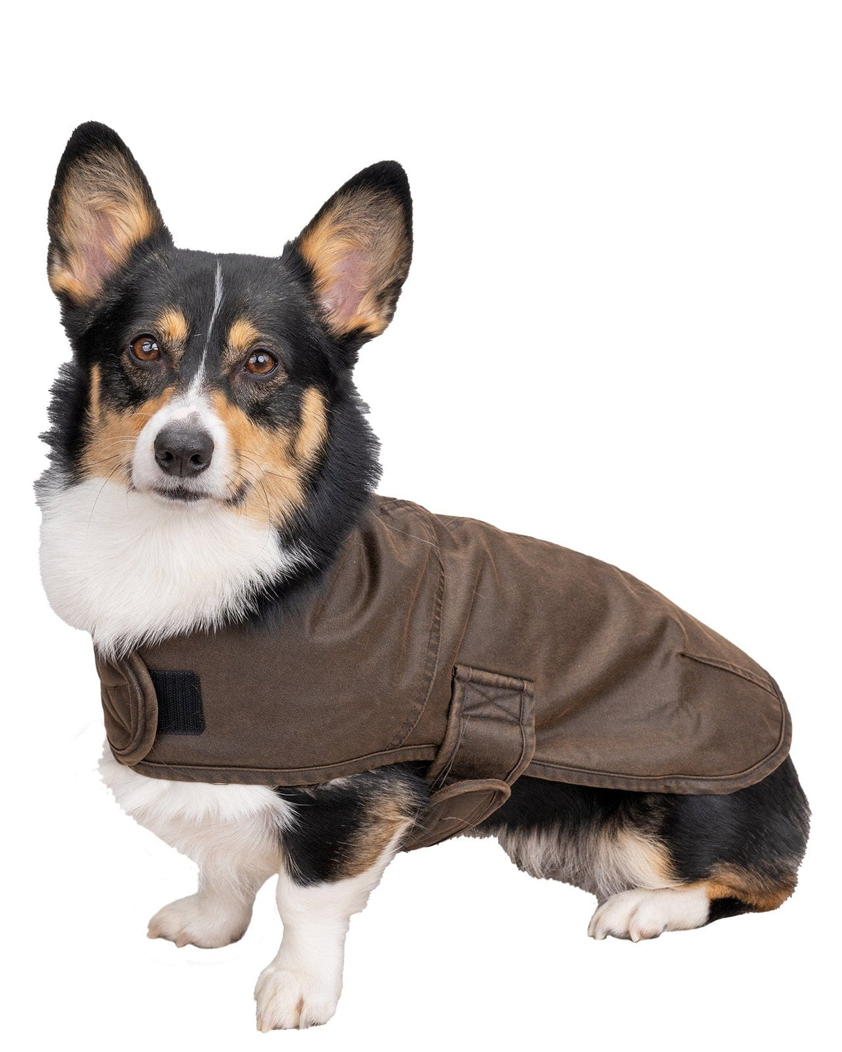 Outback Trading Company Marty Canine Coat Dog Apparel