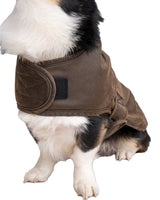 Outback Trading Company Marty Canine Coat Dog Apparel