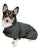 Outback Trading Company Clancy Oilskin Canine Coat Brewster Greem / XS 2892-BRG-XS 789043398830 Dog Coats